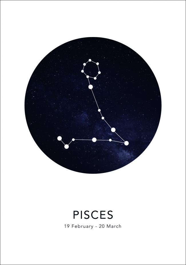 Bildverkstad Pisces Poster