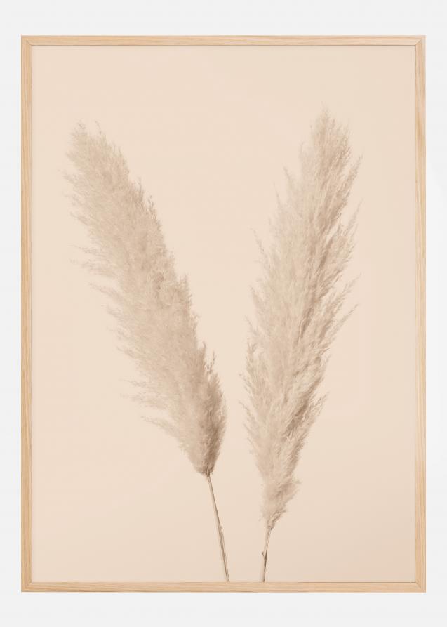 Bildverkstad Pampas Grass I Poster