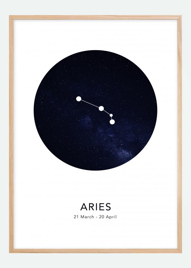 Bildverkstad Aries Poster