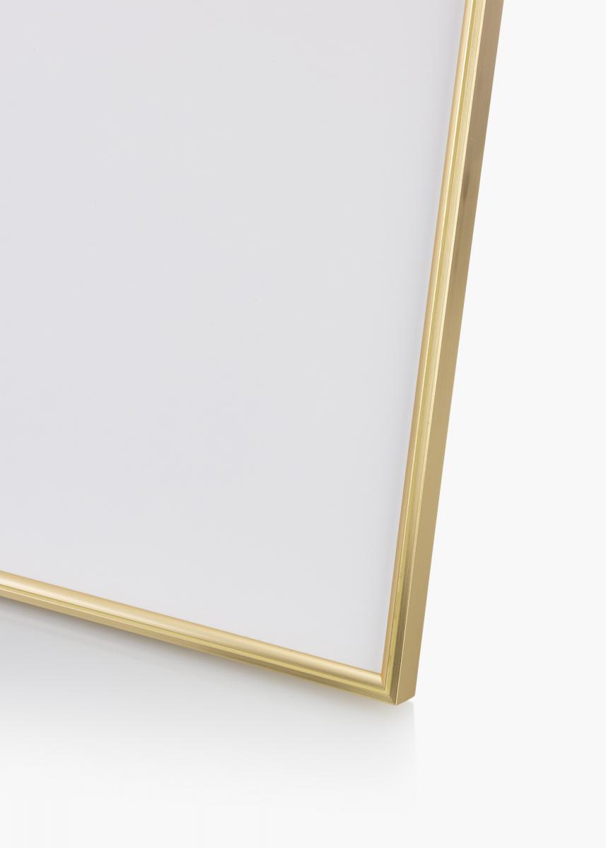 Walther Fotolijst Hipster Acrylglas Goud 70x100 cm