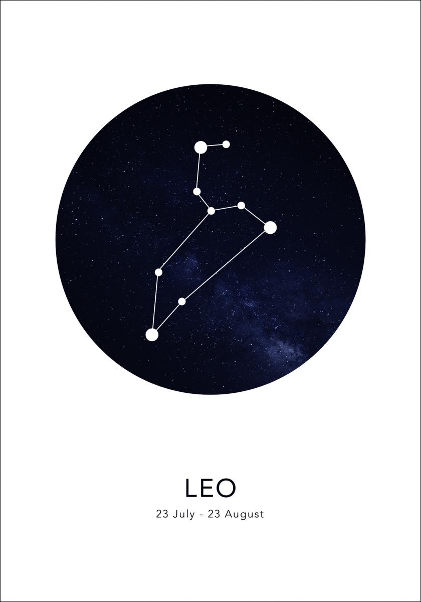 Bildverkstad Leo Poster