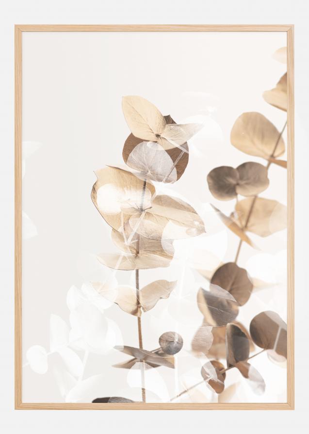 Bildverkstad Eucalyptus Creative Gold I Poster