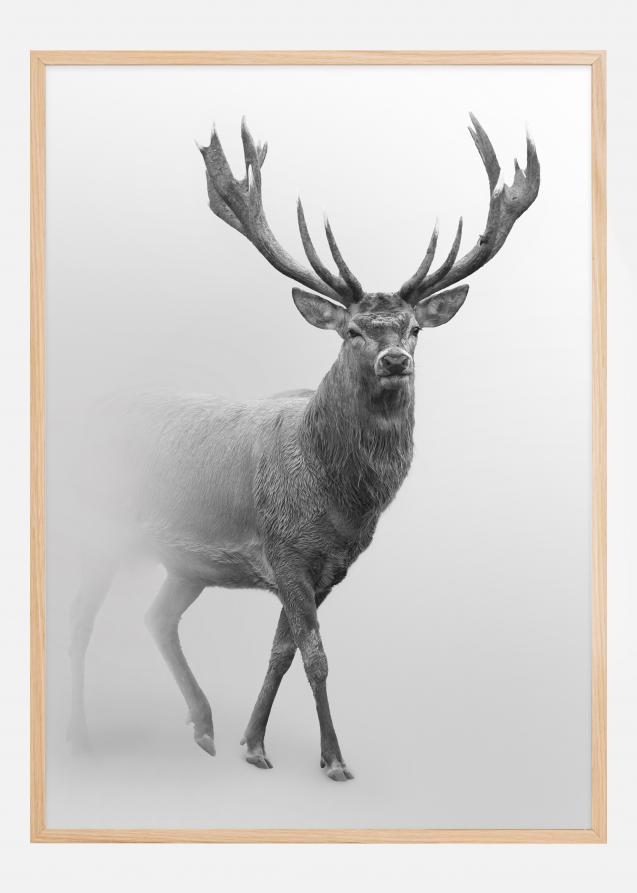 Bildverkstad Black and white Red deer Poster