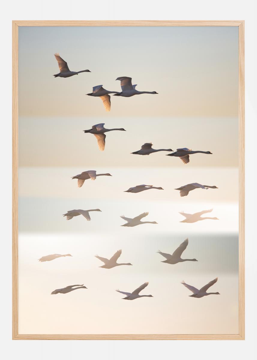 Bildverkstad Past The Sun Poster