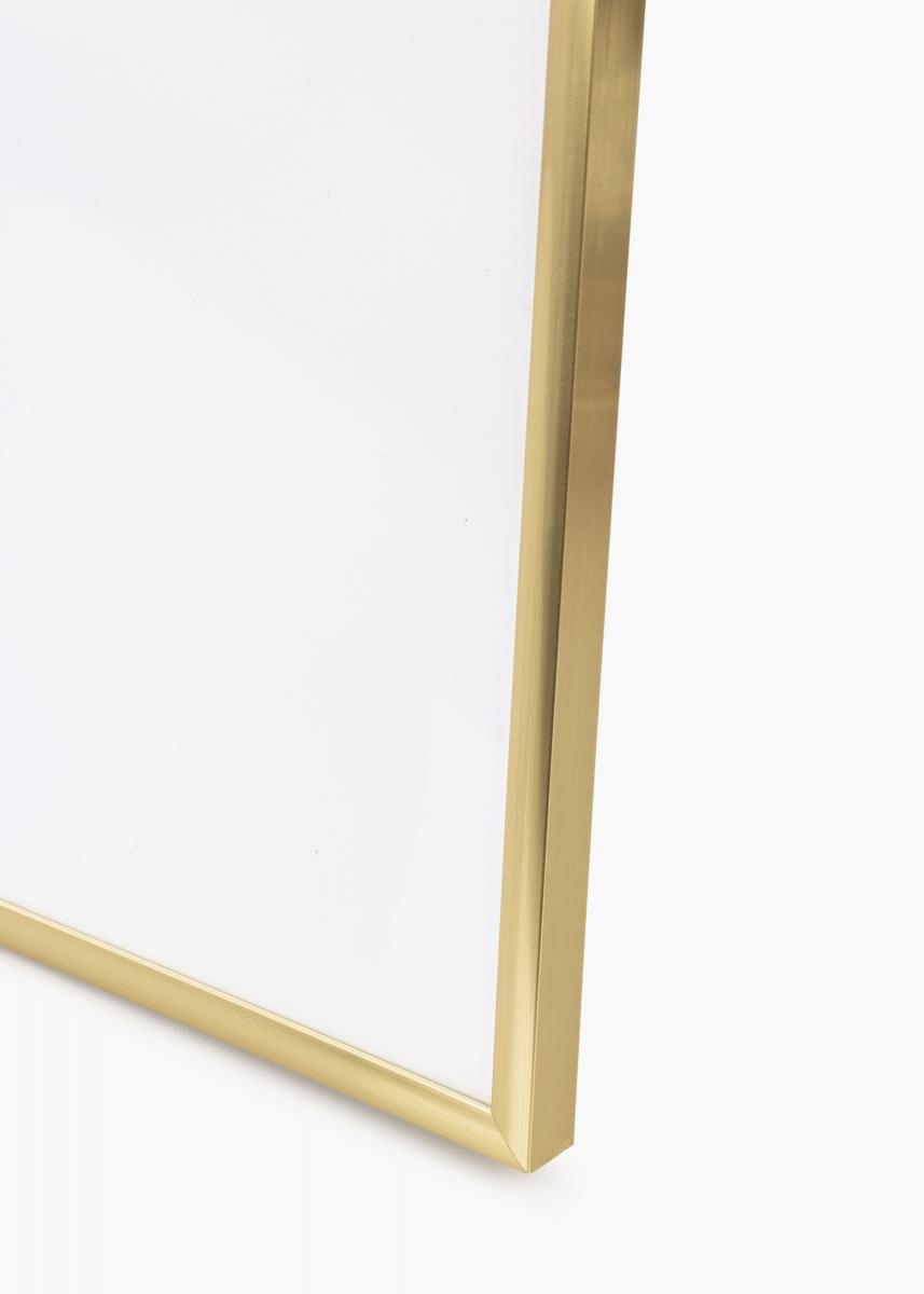 Walther Fotolijst New Lifestyle Acrylglas Goud 60x80 cm