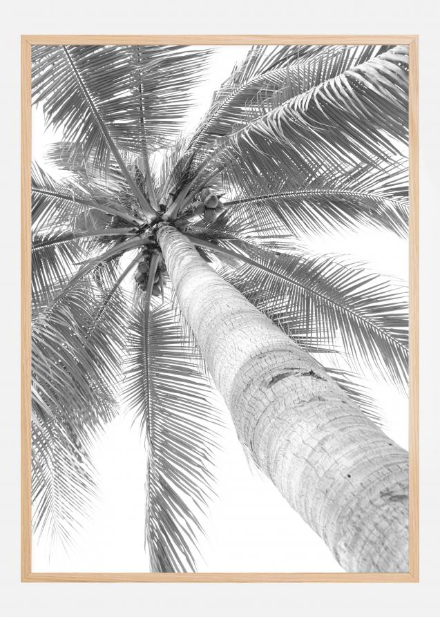 Bildverkstad Black and white palmtree Poster