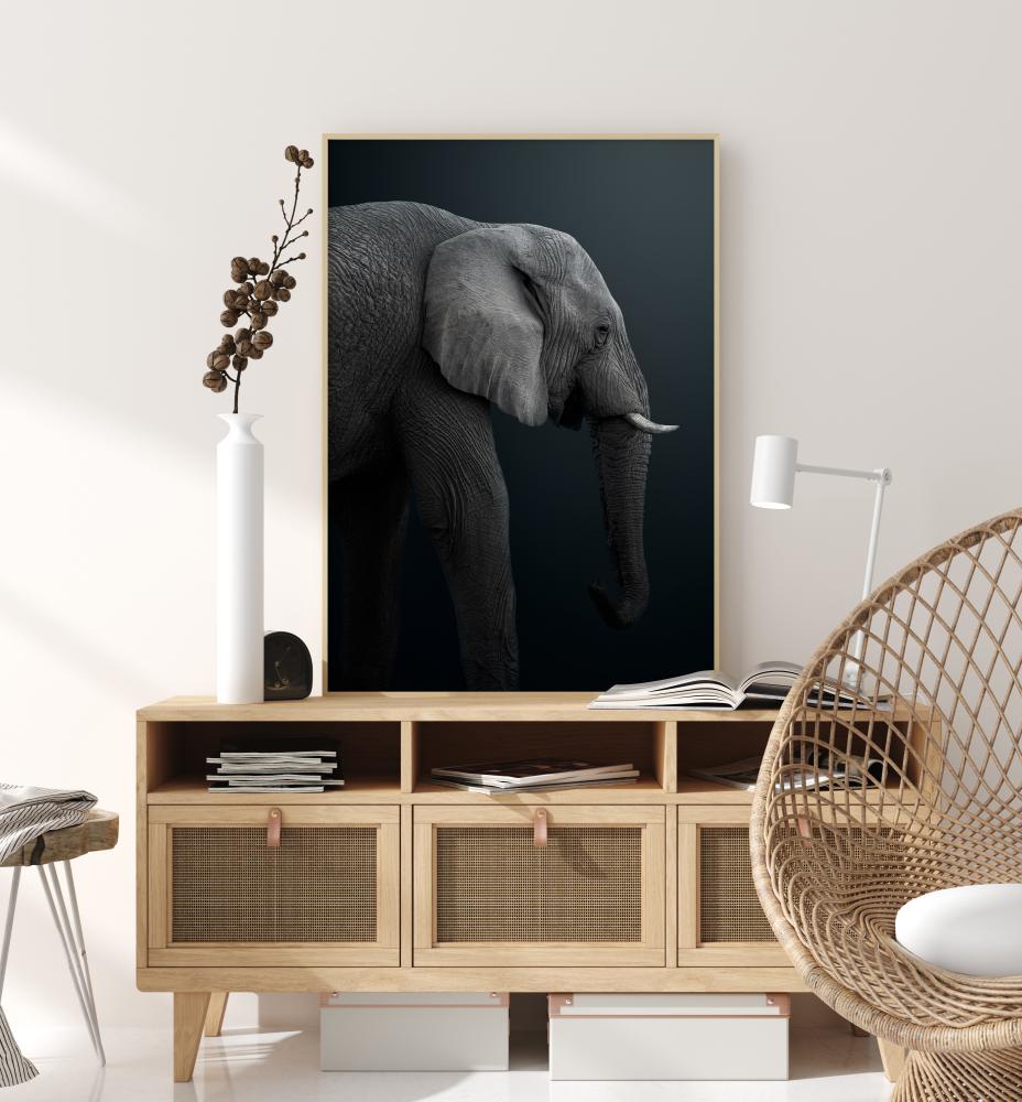 Bildverkstad Namibian Elephant Poster