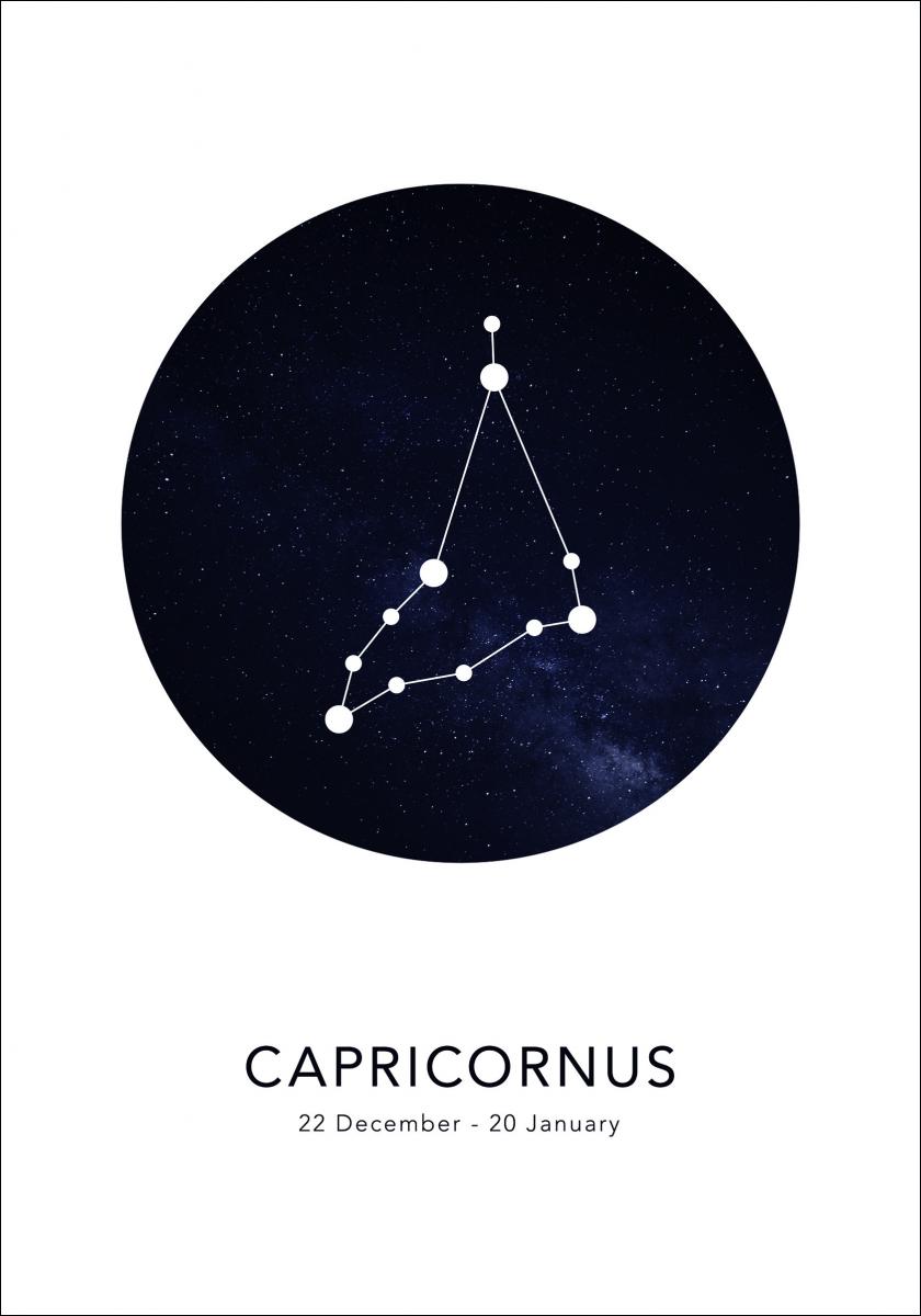 Bildverkstad Capricornus Poster