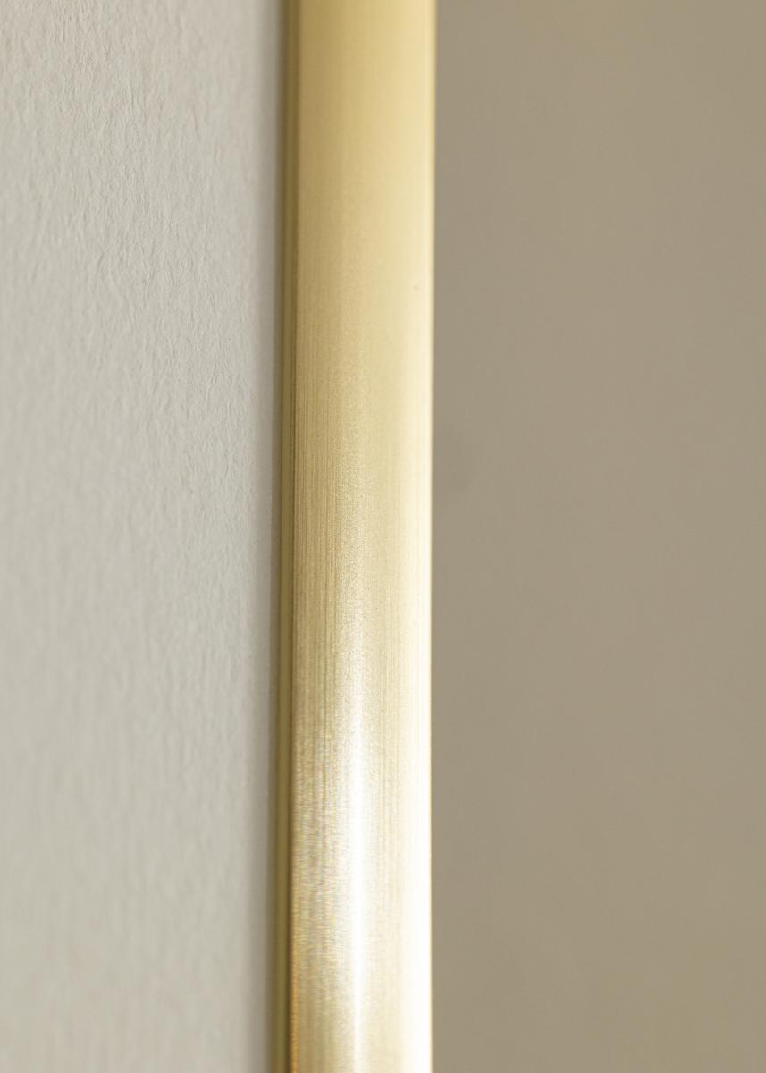 Walther Fotolijst New Lifestyle Acrylglas Shiny Gold 50x70 cm