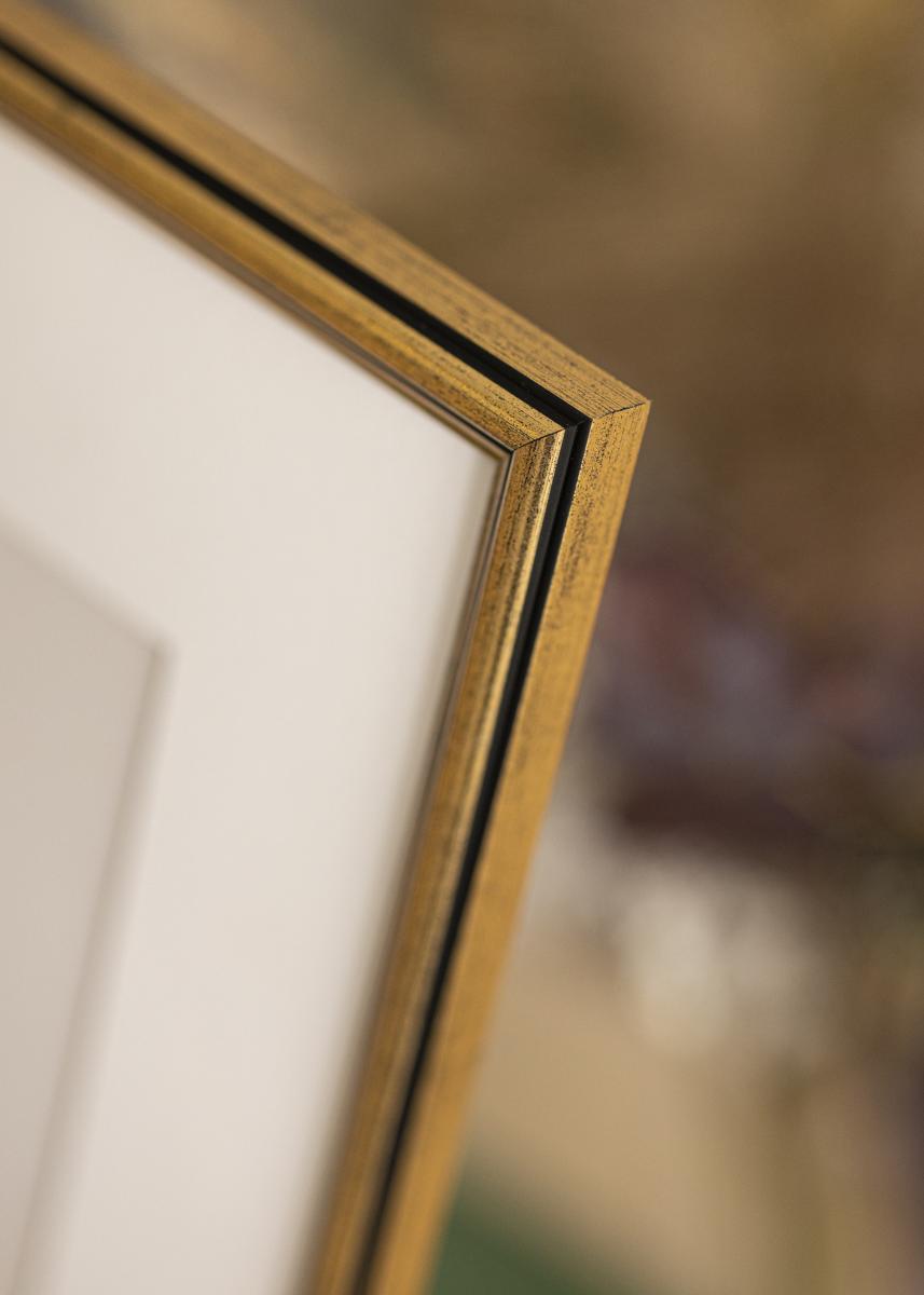 Galleri 1 Fotolijst Horndal Acrylglas Goud 40x60 cm