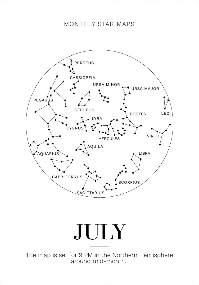 Bildverkstad Monthly star July Poster
