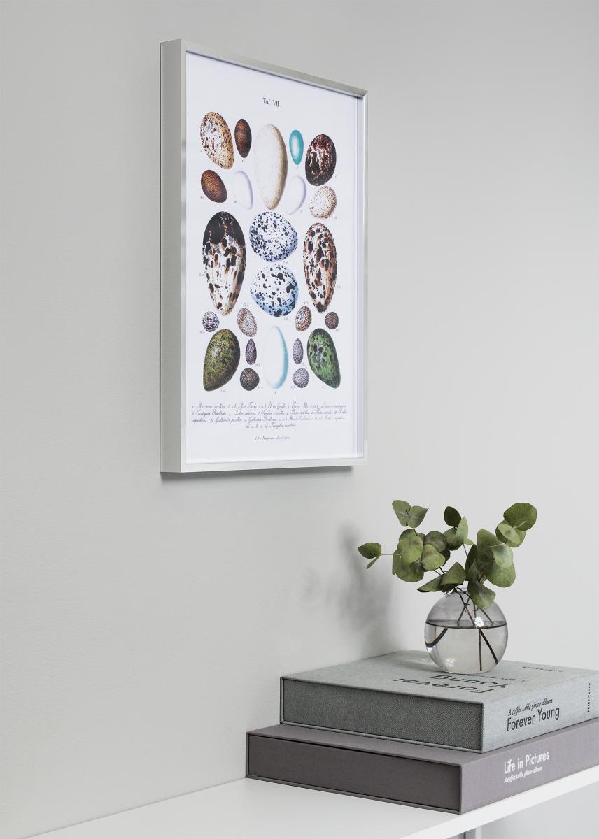 Nielsen Fotolijst Nielsen Premium Alpha Blank Zilver 60x80 cm