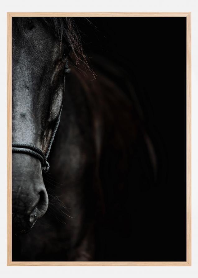 Bildverkstad Dark Horse Poster