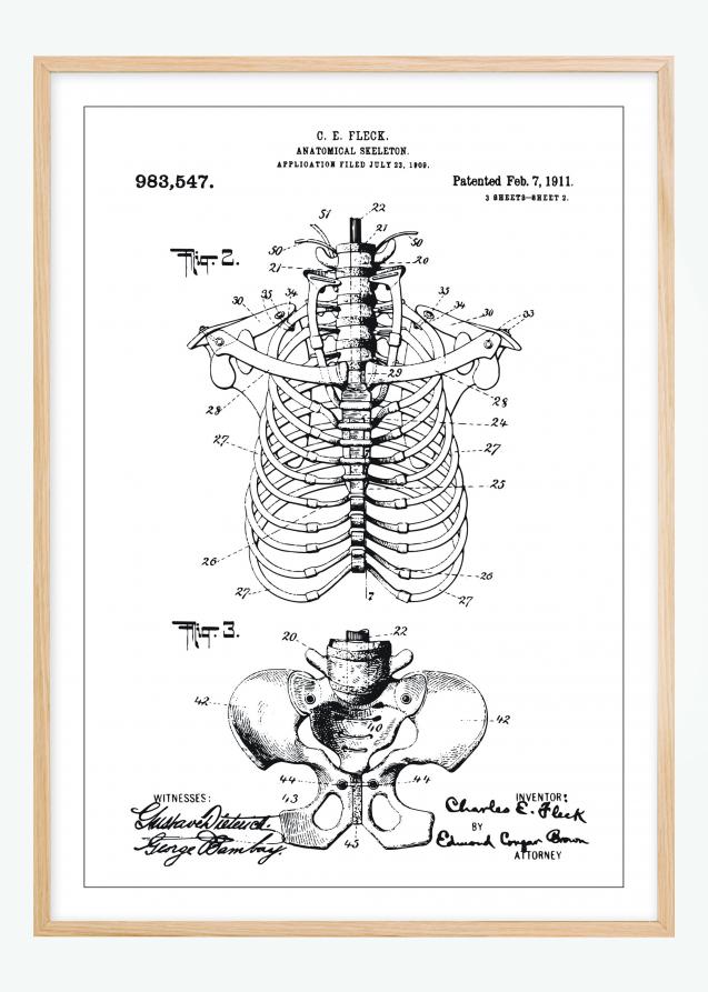 Bildverkstad Patenttekening - Anatomisch skelet II Poster