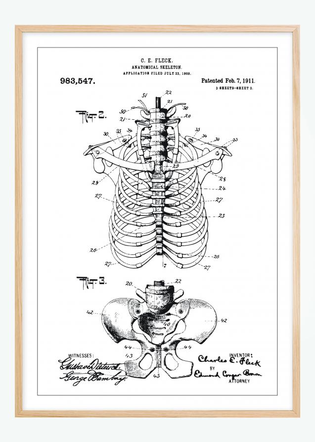 Bildverkstad Patenttekening - Anatomisch skelet II Poster