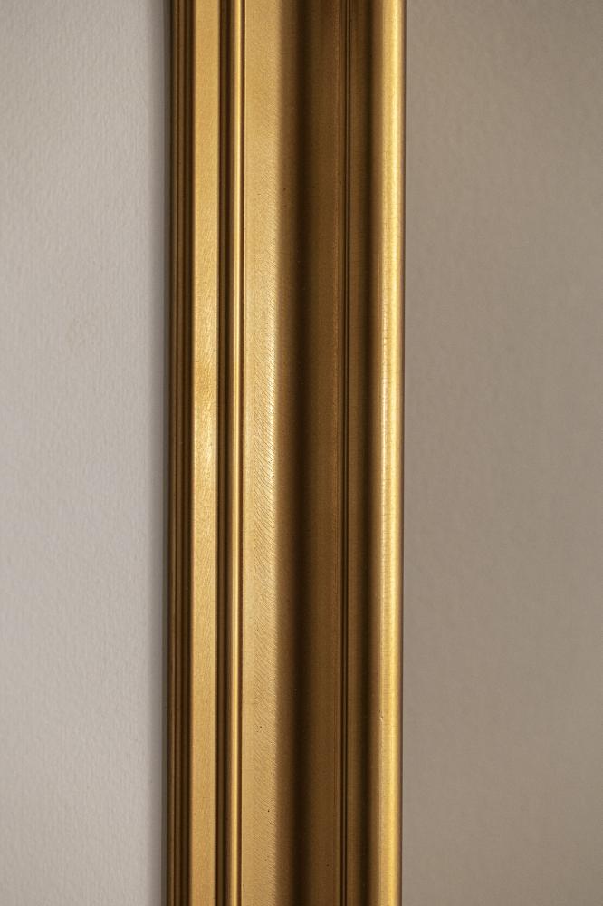 Galleri 1 Fotolijst Mora Premium Acrylglas Goud 29,7x42 cm (A3)