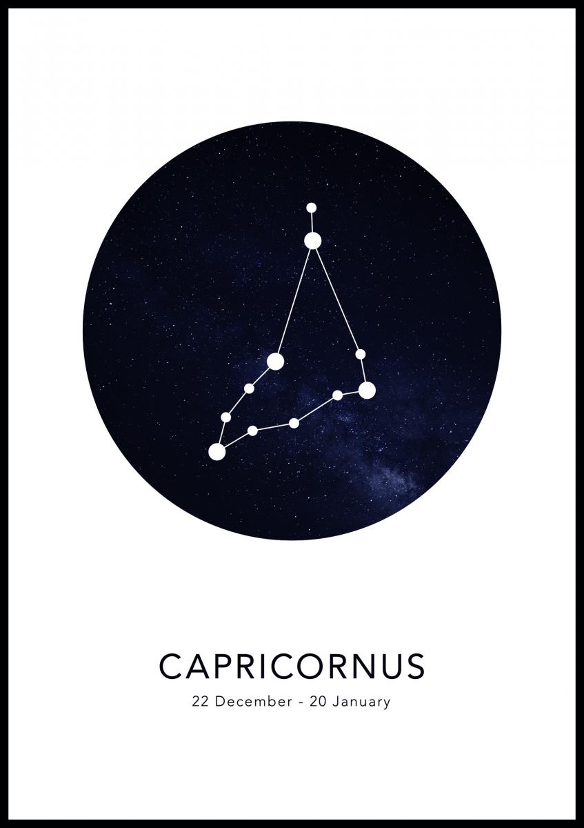 Bildverkstad Capricornus Poster