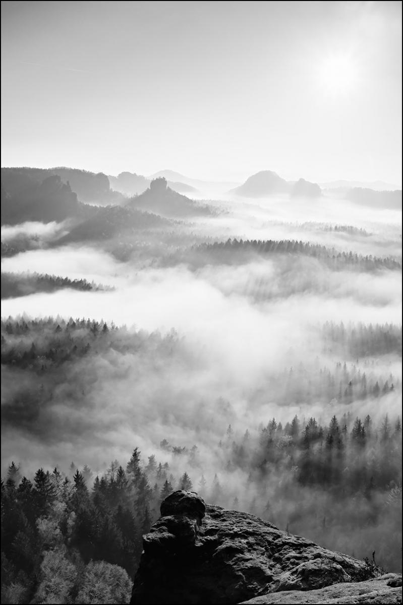 Lagervaror egen produktion Foggy Forest Black & White I - 50x70 cm Poster