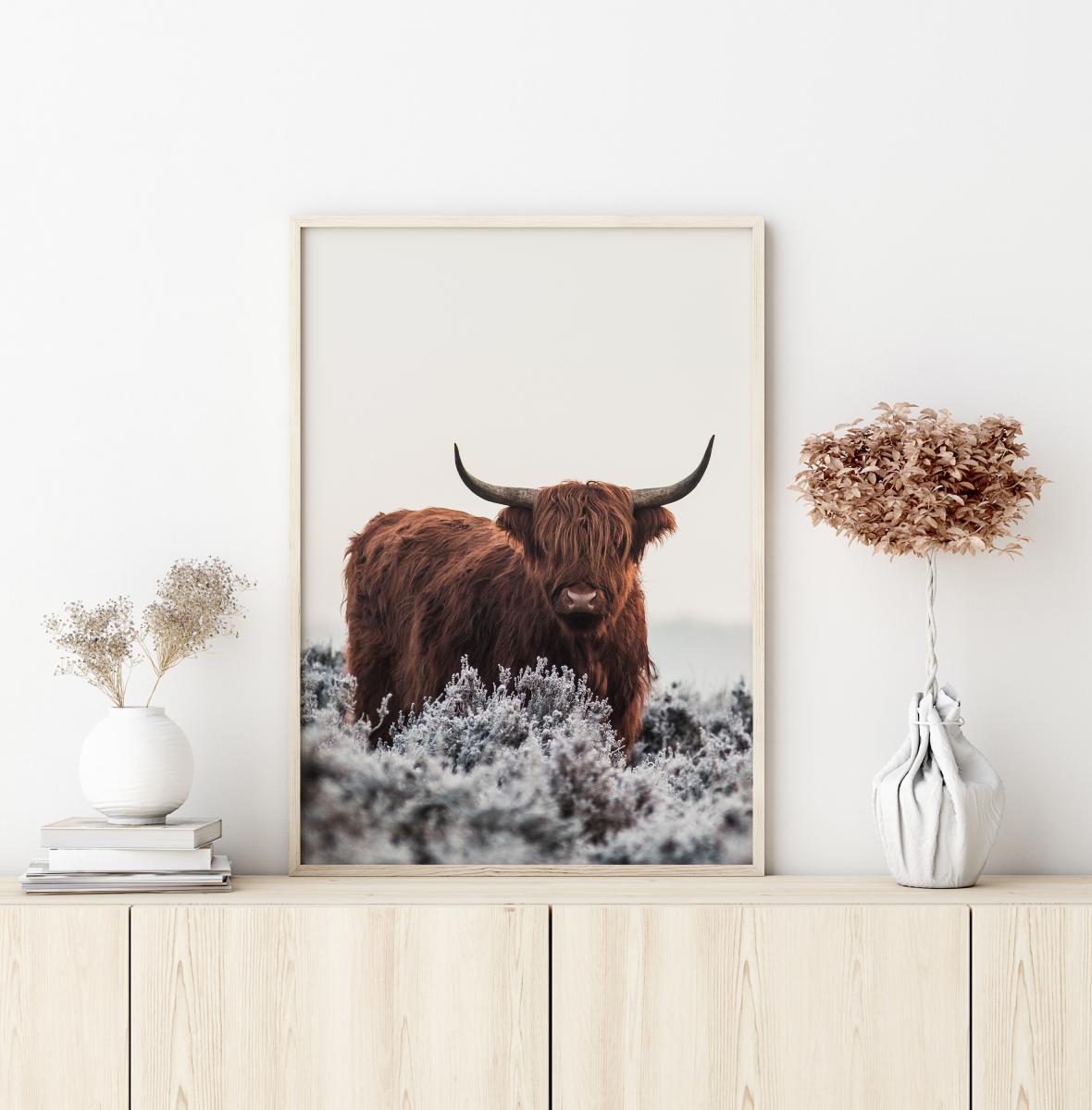 Bildverkstad Highlander Poster