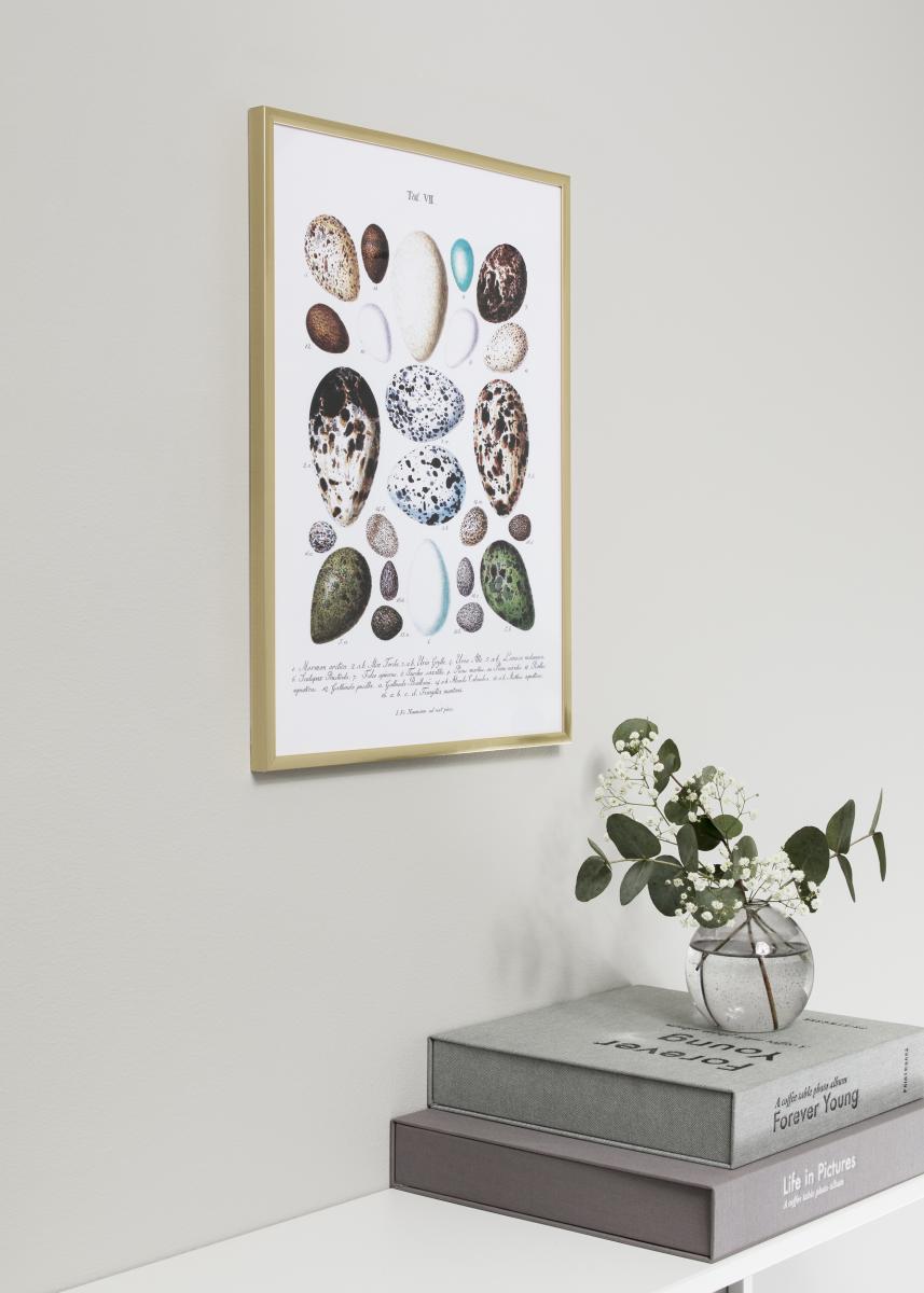 Walther New Lifestyle Plexiglas Goud 29,7x42 cm (A3)