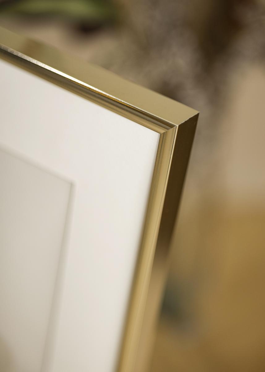 Estancia Fotolijst Aluminium Acrylglas Glanzend Goud 21x29,7 cm (A4)