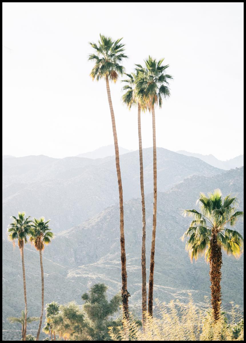 Bildverkstad Palm Trees I Poster
