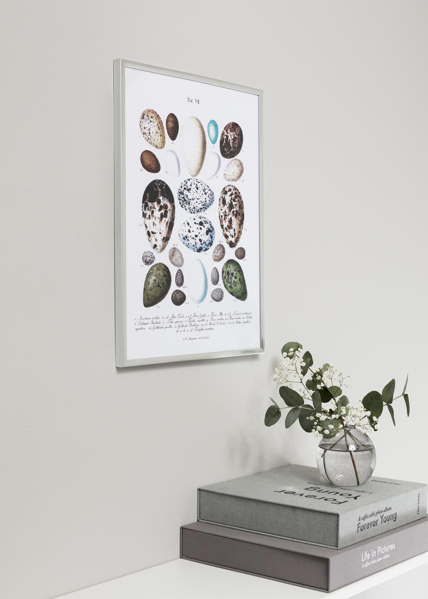 Walther Fotolijst New Lifestyle Acrylglas Zilver 70x100 cm