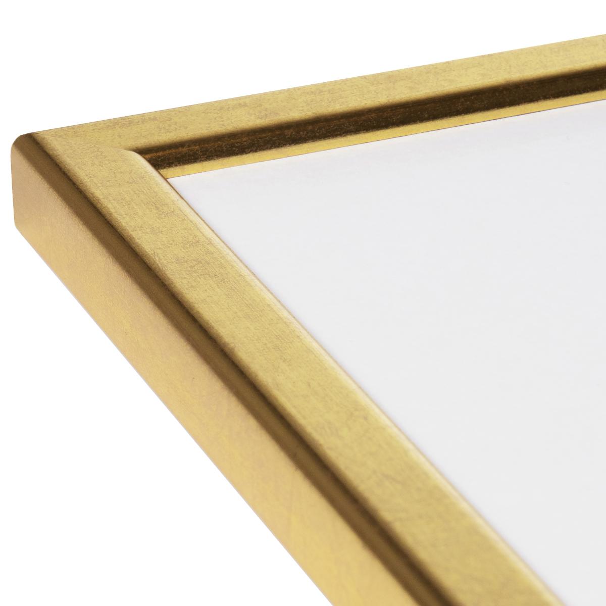 HHC Distribution Fotolijst Slim Mat Ontspiegeld Glas Goud 21X29,7 cm (A4)