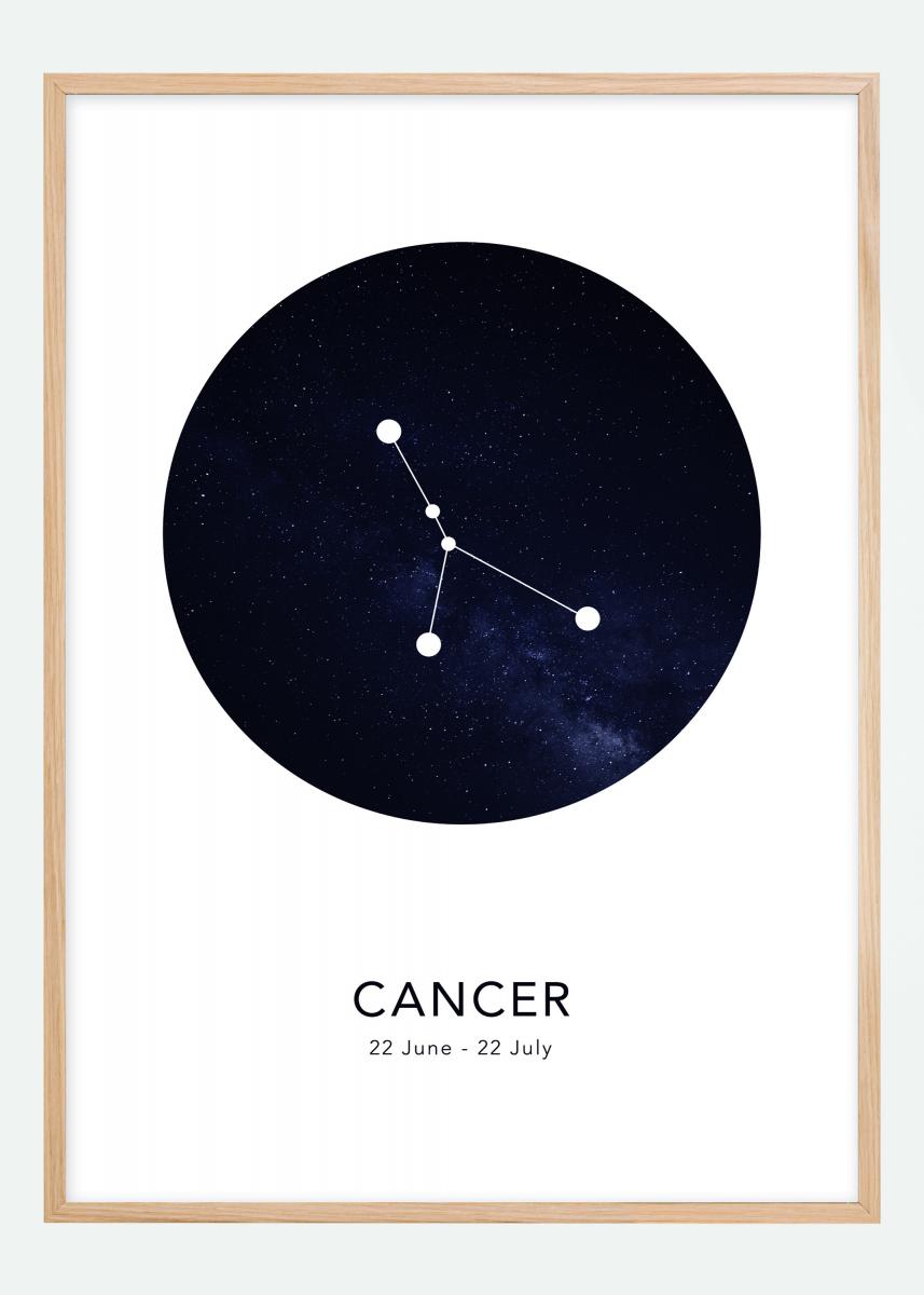 Bildverkstad Cancer Poster