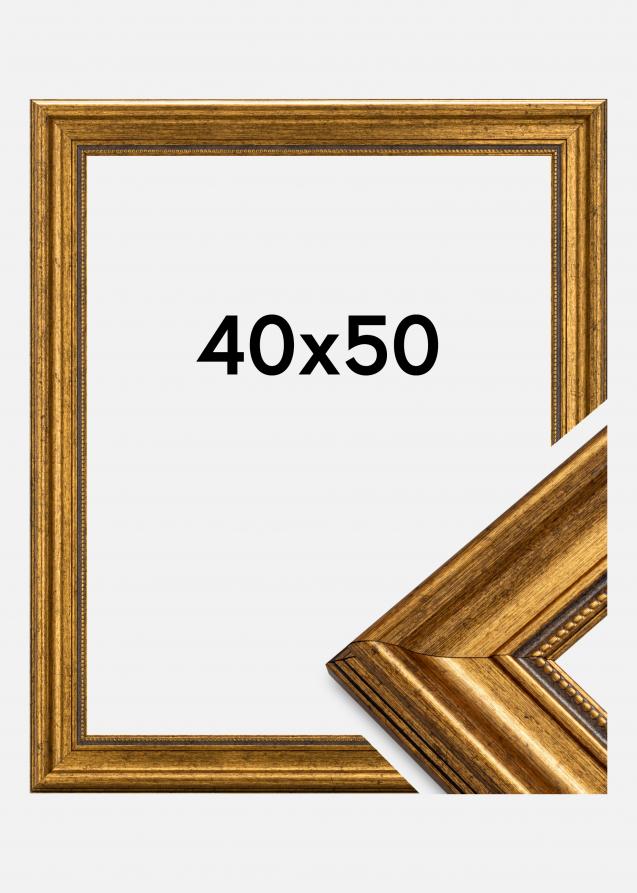 Estancia Fotolijst Rokoko Acrylglas Goud 40x50 cm