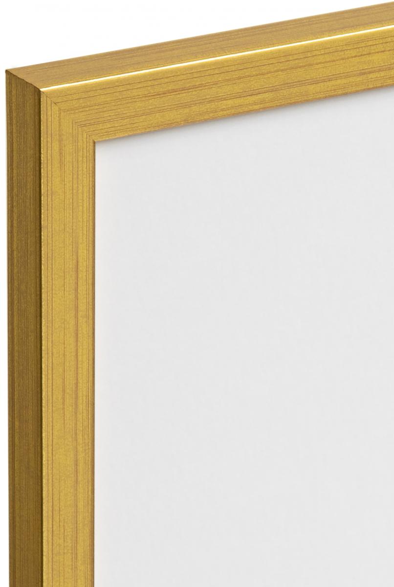 Galleri 1 Frame Gold 21x29,7 cm (A4)
