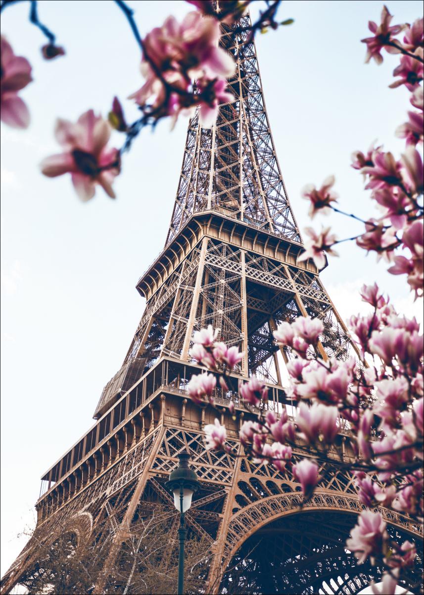 Lagervaror egen produktion Eiffel Tower Blossoms Poster