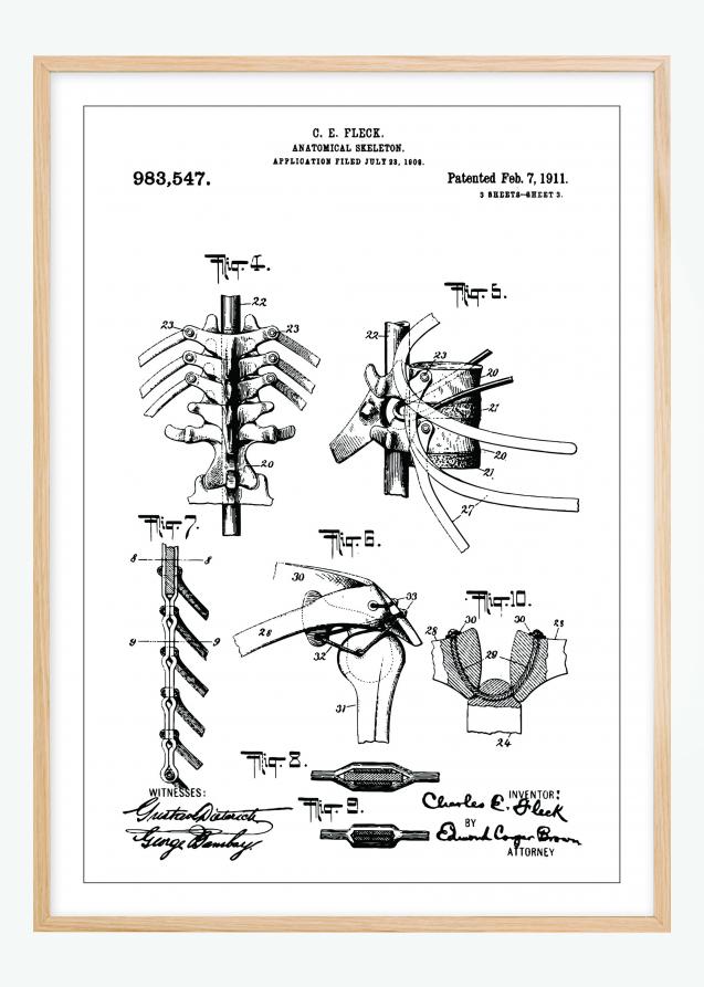 Bildverkstad Patenttekening - Anatomisch skelet III Poster