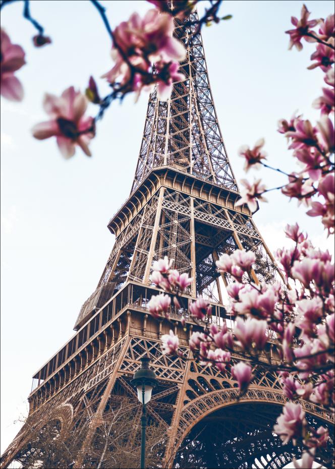 Bildverkstad Eiffel Tower Blossoms