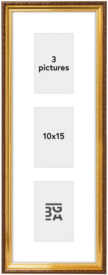 Galleri 1 Abisko Collagelijst I Goud - 3 Foto's (10x15 cm)