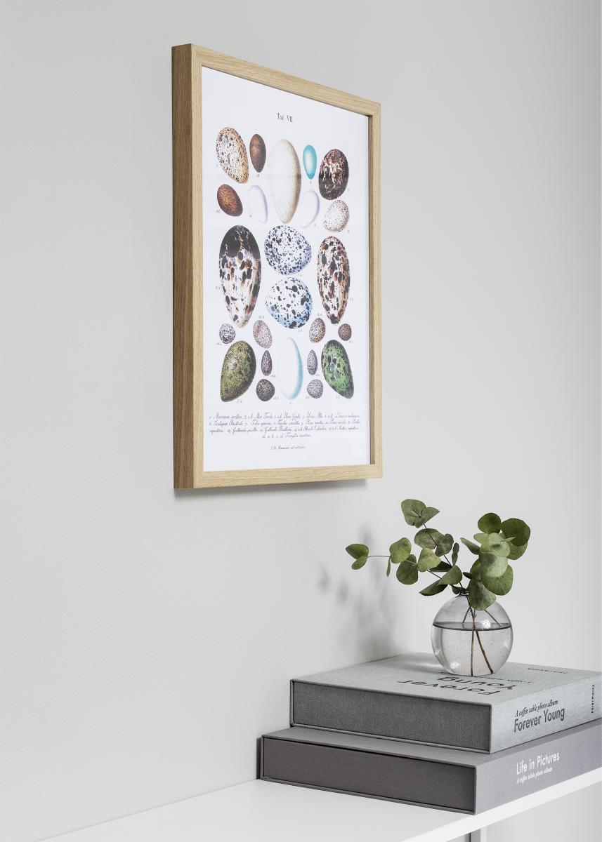 Nielsen Fotolijst Nielsen Premium Quadrum Eikenhout 40x40 cm