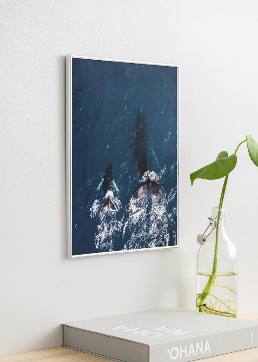 Focus Fotolijst Can-Can Zilver 40x60 cm