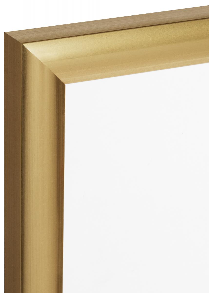 Walther Fotolijst Trendstyle Goud 60x80 cm
