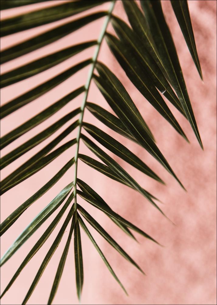 Bildverkstad Pink pastell palm