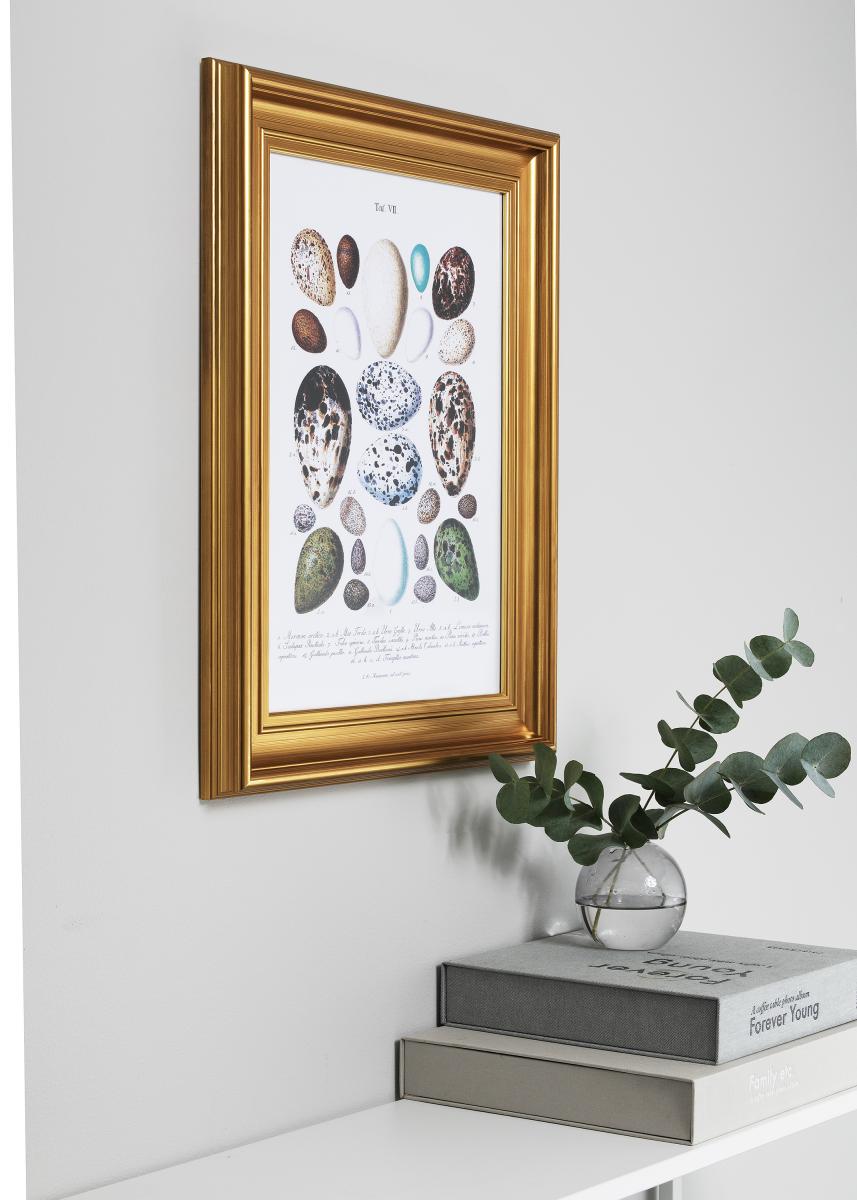 Ramverkstad Fotolijst Mora Premium Goud 25x50 cm