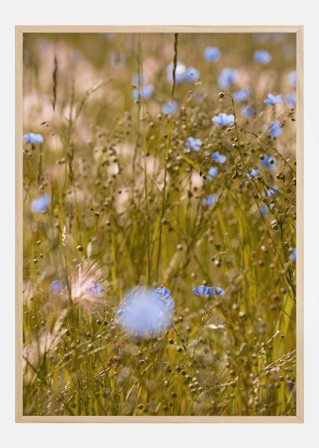 Bildverkstad Summer Fields I Poster