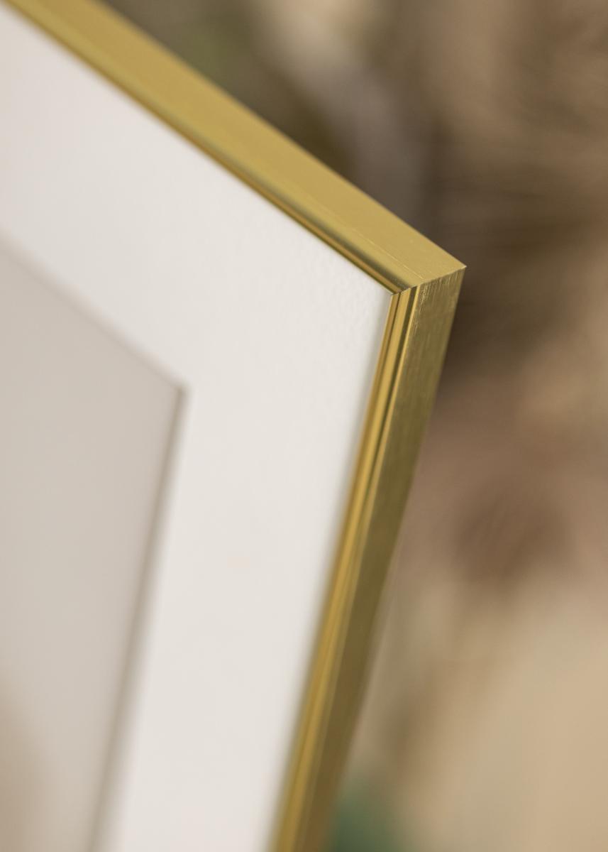 Focus Fotolijst Can-Can Goud 40x40 cm