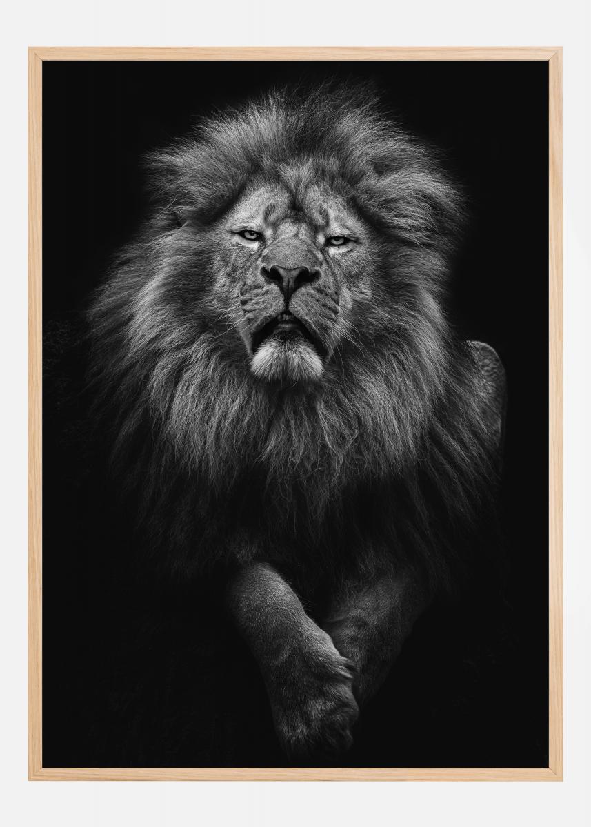 Bildverkstad Black and White Lion Poster