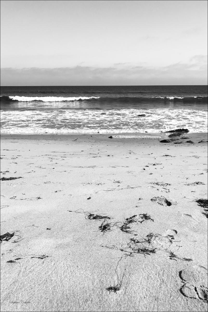 Bildverkstad Malibu Beach sand Poster