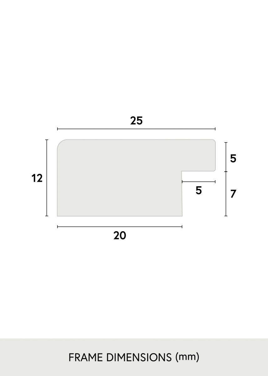 Artlink Fotolijst Trendline Acrylglas Zwart 22x28 inches (55,88x71,12 cm)