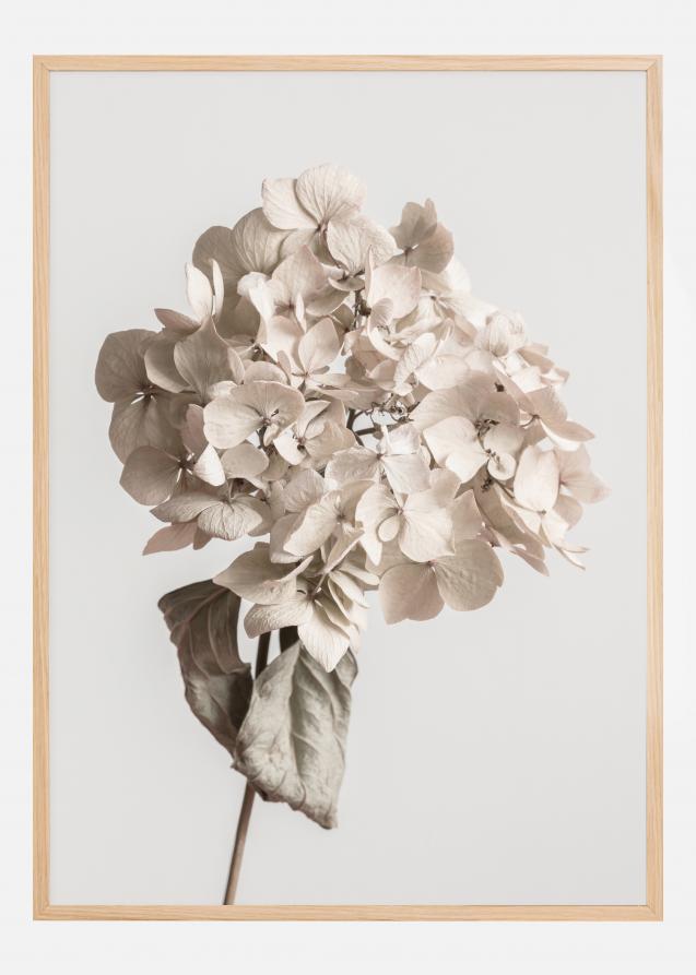 Bildverkstad Beige Dried Flower Poster