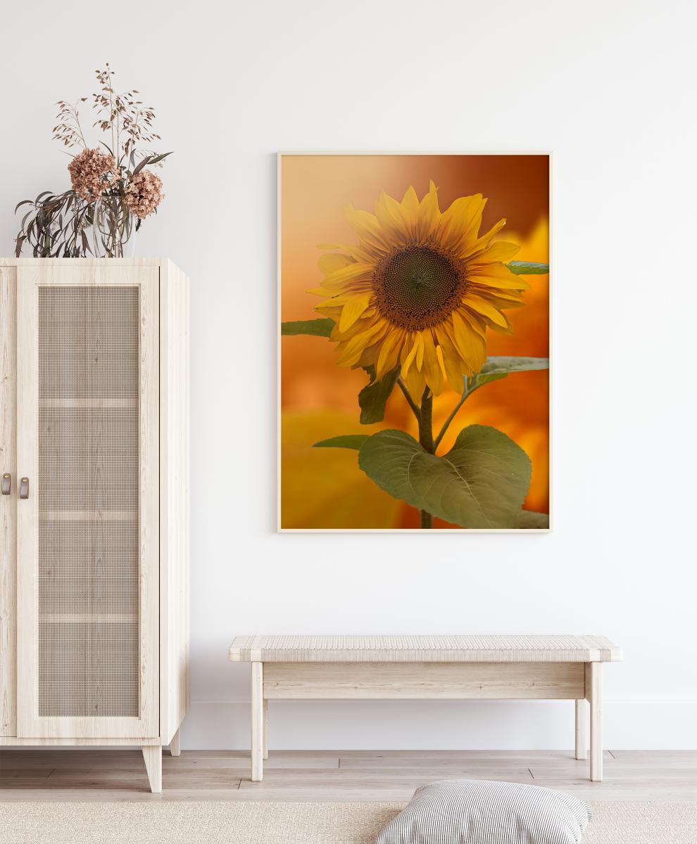 Bildverkstad Sunflower Poster