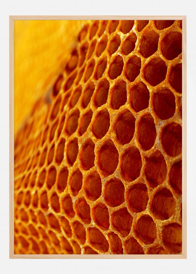 Bildverkstad Honey Poster