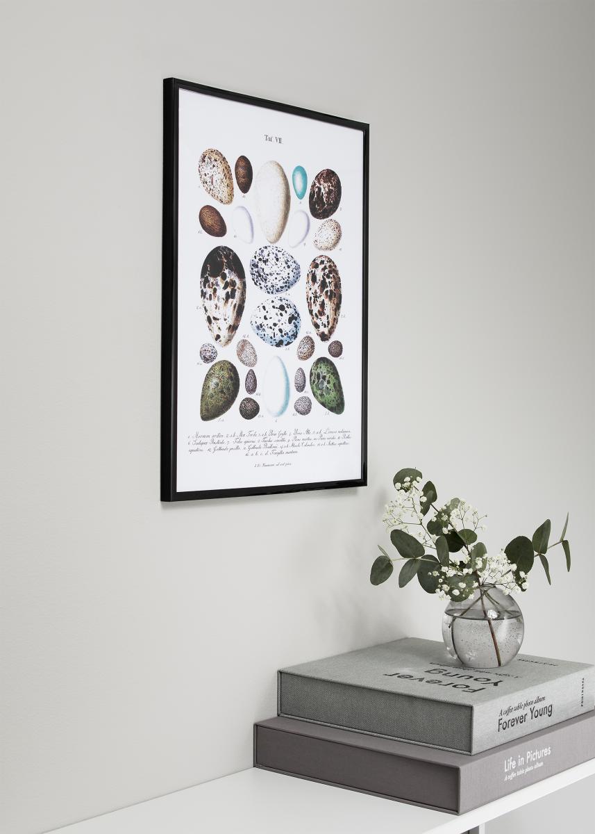 Walther Fotolijst New Lifestyle Zwart 60x90 cm