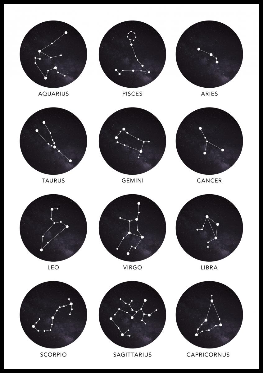 Bildverkstad Zodiac Signs Poster